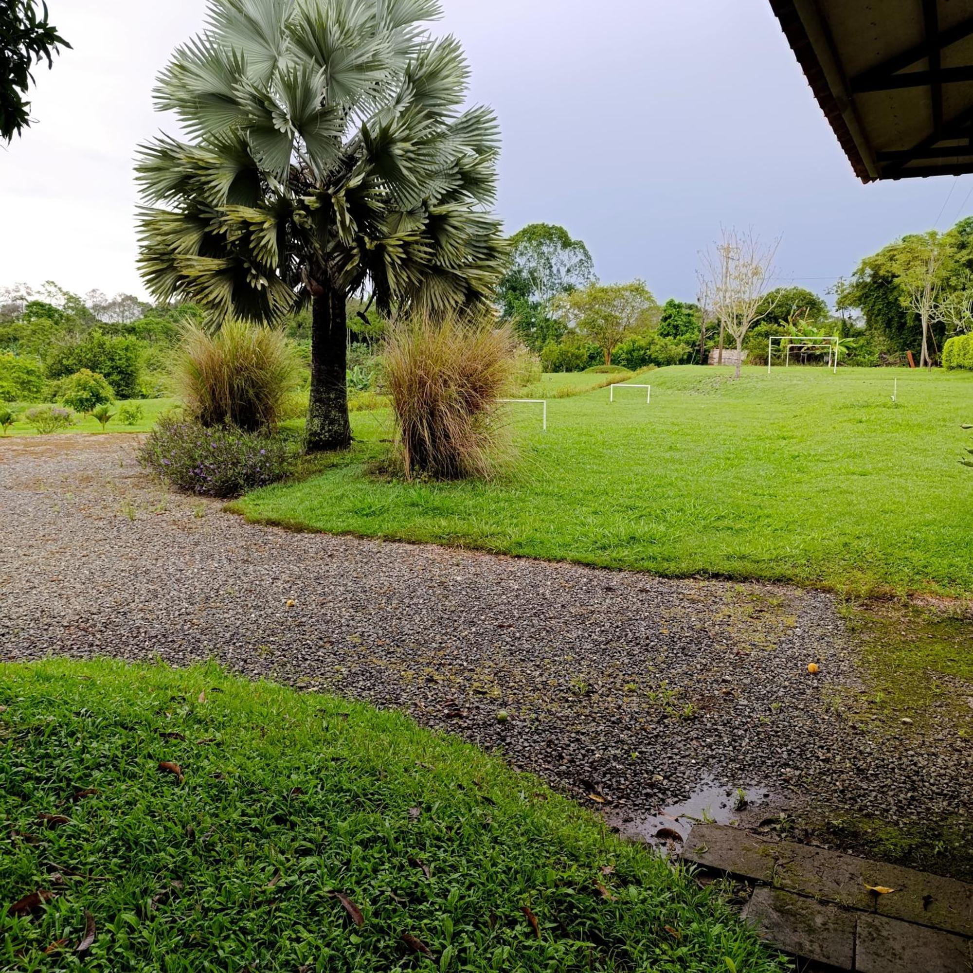 Hotel Campestre Los Mangos 킴바야 외부 사진